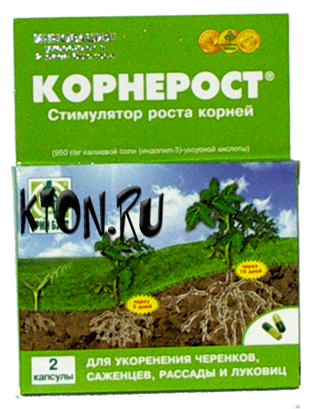 Стимулятор роста корней в домашних условиях 802