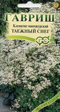 semena-cvetov-klematis-taezhniy-sneg.jpg