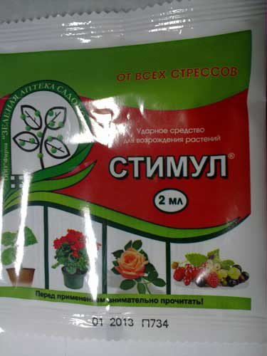 профилактические средства от паразитов в человеке профилактические средства от паразитов в человеке